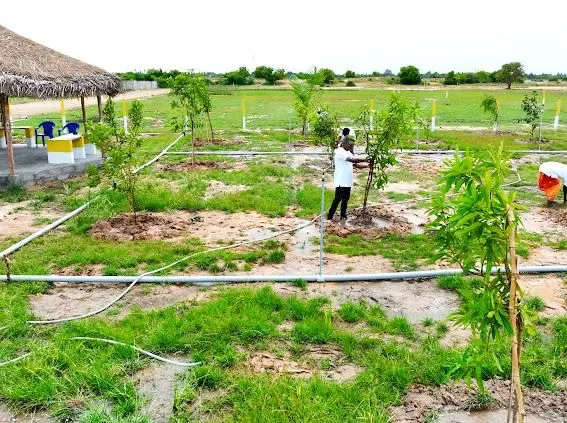 8500 Sqft Plot for Sale in Maduranthakam, Ramapuram