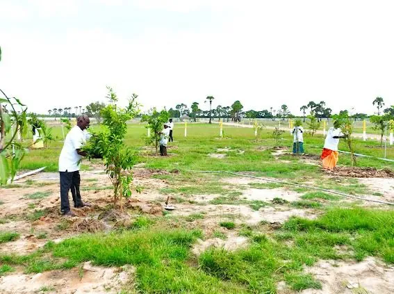 8500 Sqft Plot for Sale in Maduranthakam, Ramapuram