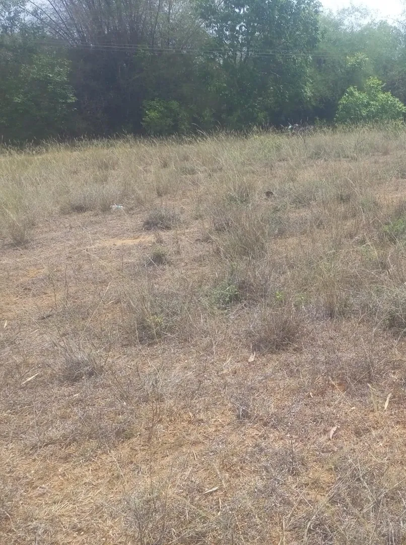 2000 Sqft Plot for Sale in Radha nagar, Koliyanur