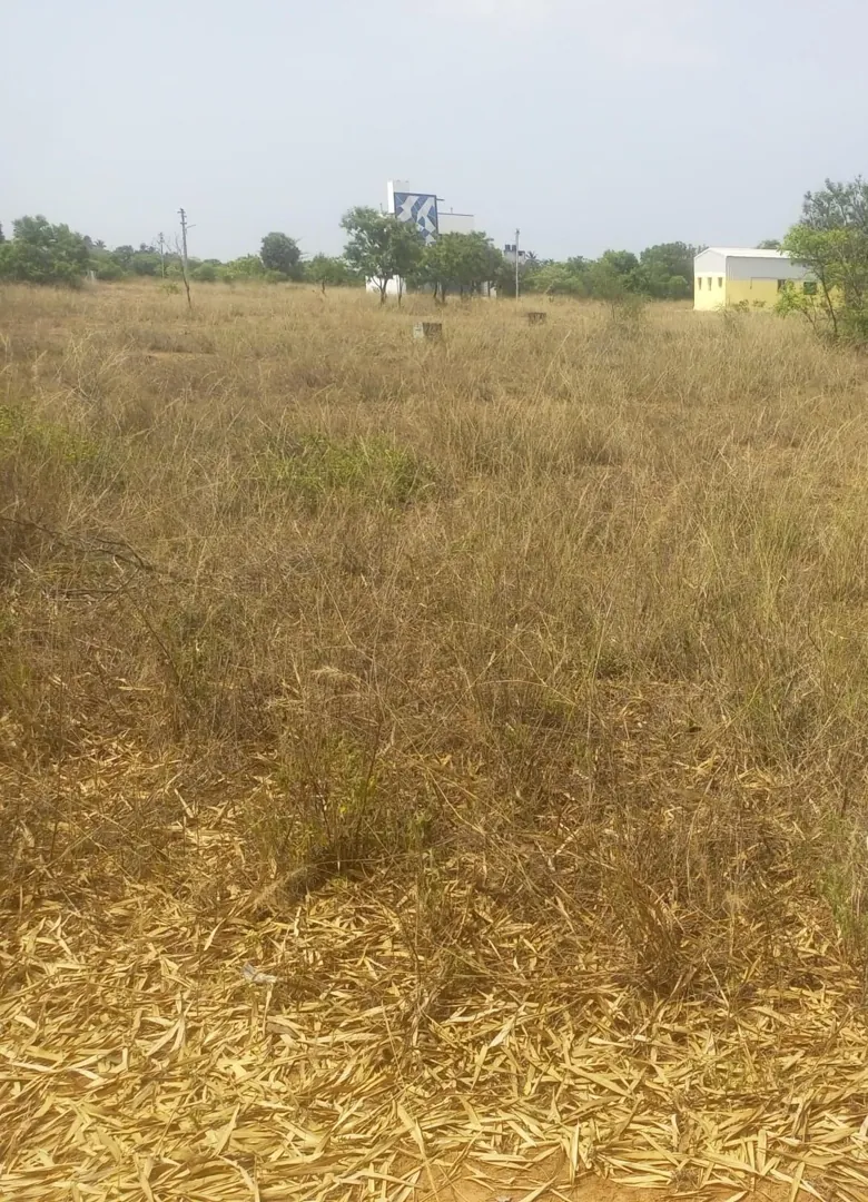 2000 Sqft Plot for Sale in Radha nagar, Koliyanur