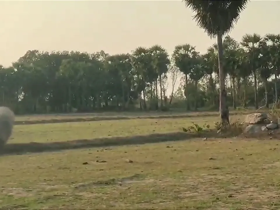 8.20 Acre Plot for Sale in Ramapurm, Melmaruvathur