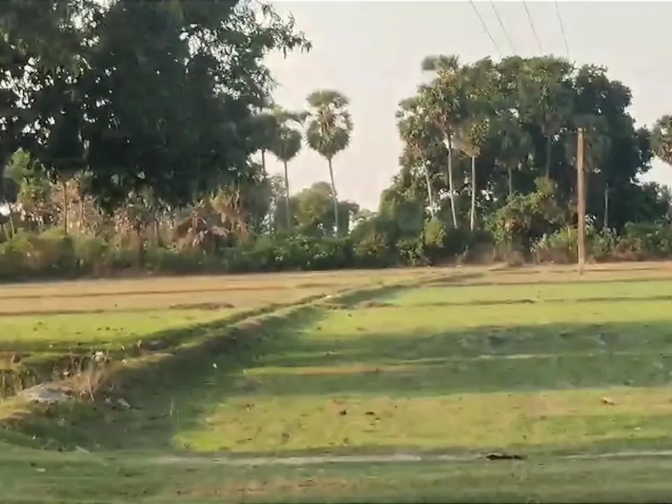 8.20 Acre Plot for Sale in Ramapurm, Melmaruvathur