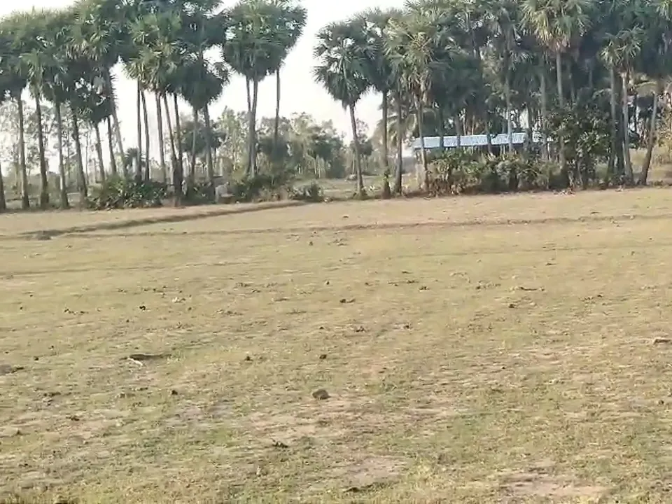 8.20 Acre Plot for Sale in Ramapurm, Melmaruvathur