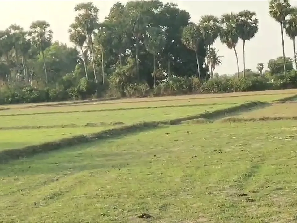 8.20 Acre Plot for Sale in Ramapurm, Melmaruvathur