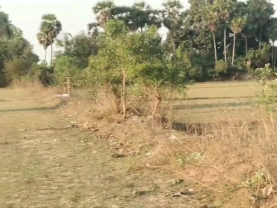 8.20 Acre Plot for Sale in Ramapurm, Melmaruvathur