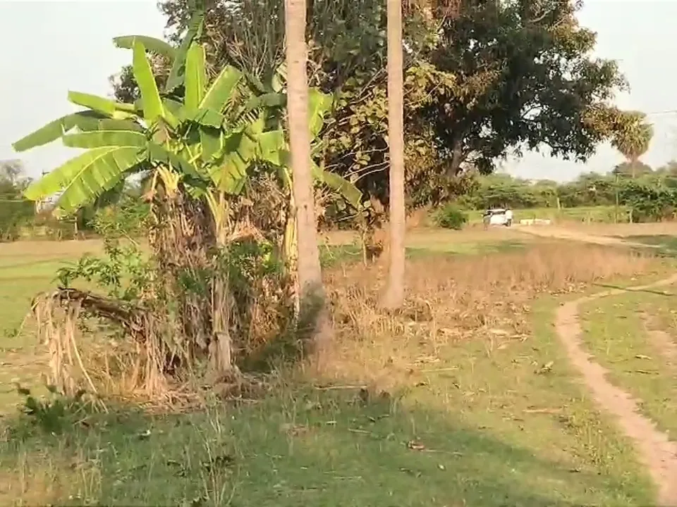 8.20 Acre Plot for Sale in Ramapurm, Melmaruvathur