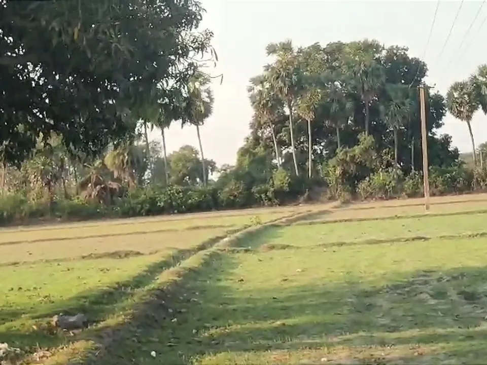 8.20 Acre Plot for Sale in Ramapurm, Melmaruvathur