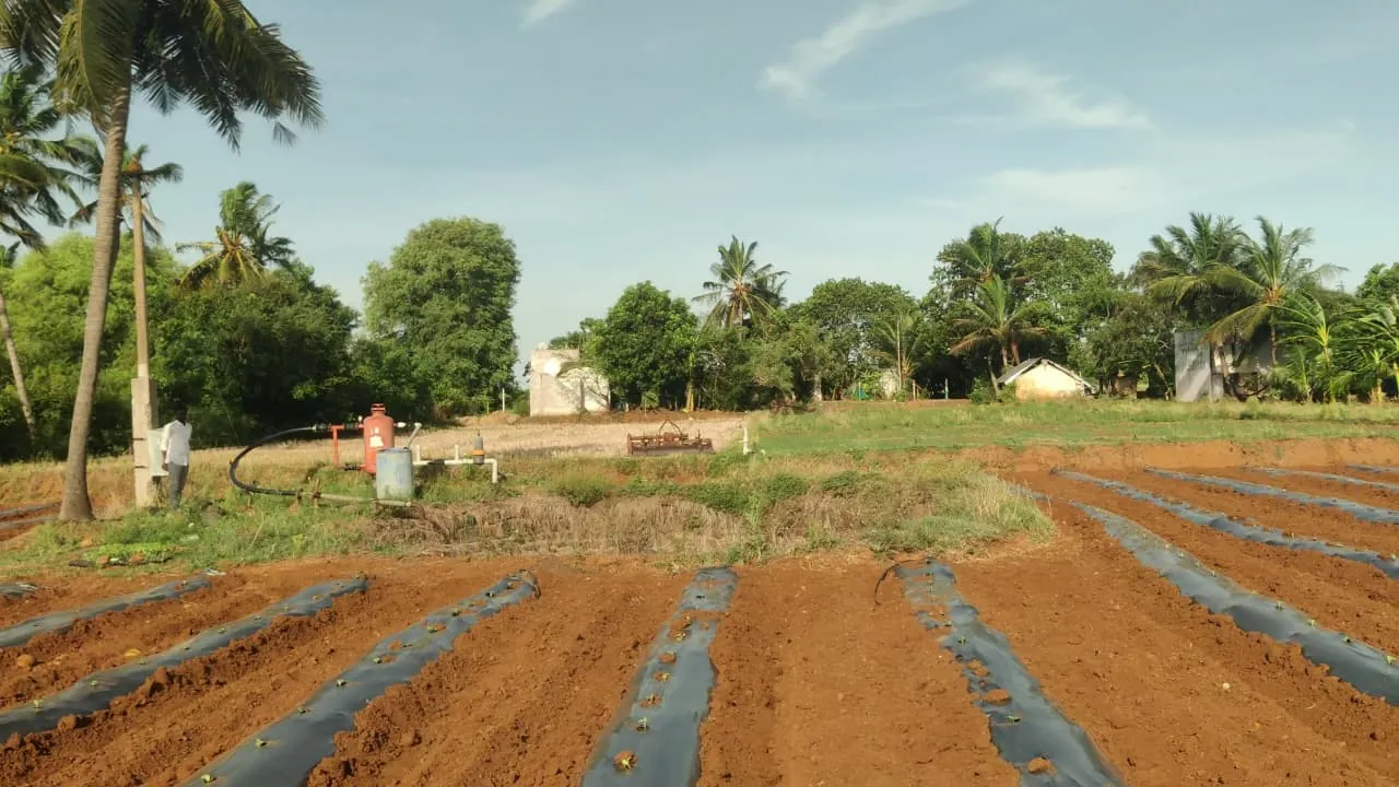 3.10 Acre Plot for Sale in Koovathur, Kuvathur