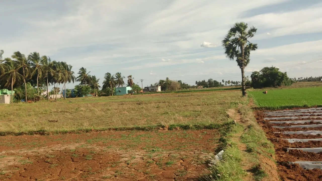 3.10 Acre Plot for Sale in Koovathur, Kuvathur