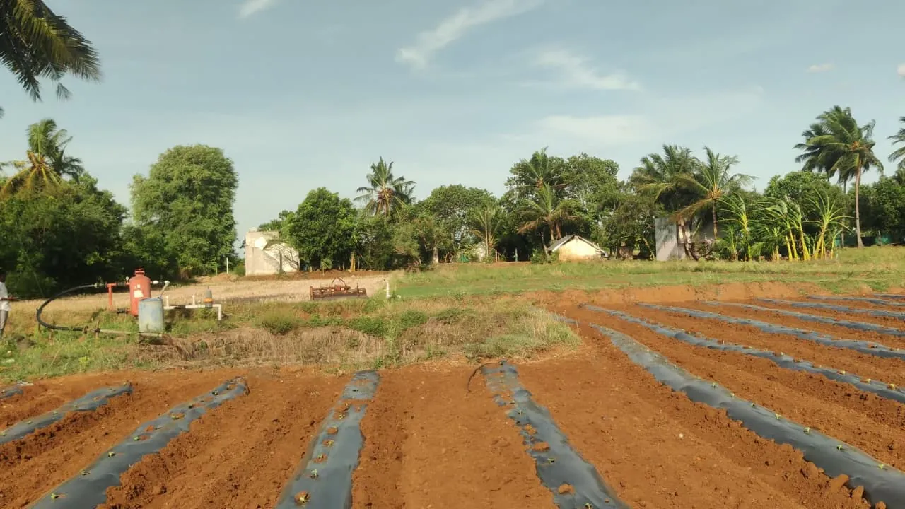 3.10 Acre Plot for Sale in Koovathur, Kuvathur