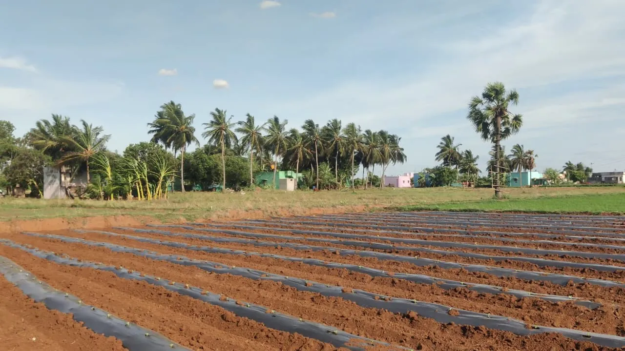 3.10 Acre Plot for Sale in Koovathur, Kuvathur