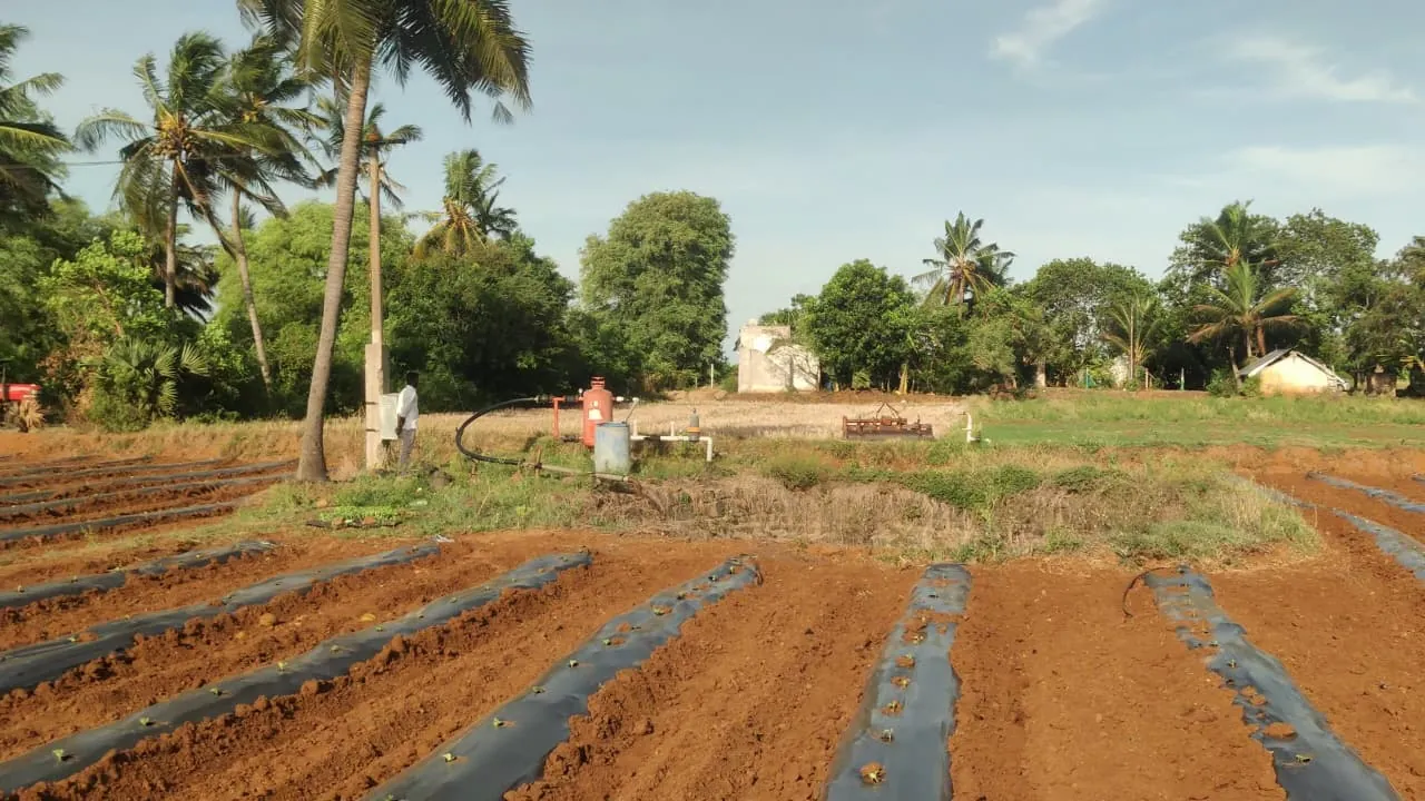 3.10 Acre Plot for Sale in Koovathur, Kuvathur