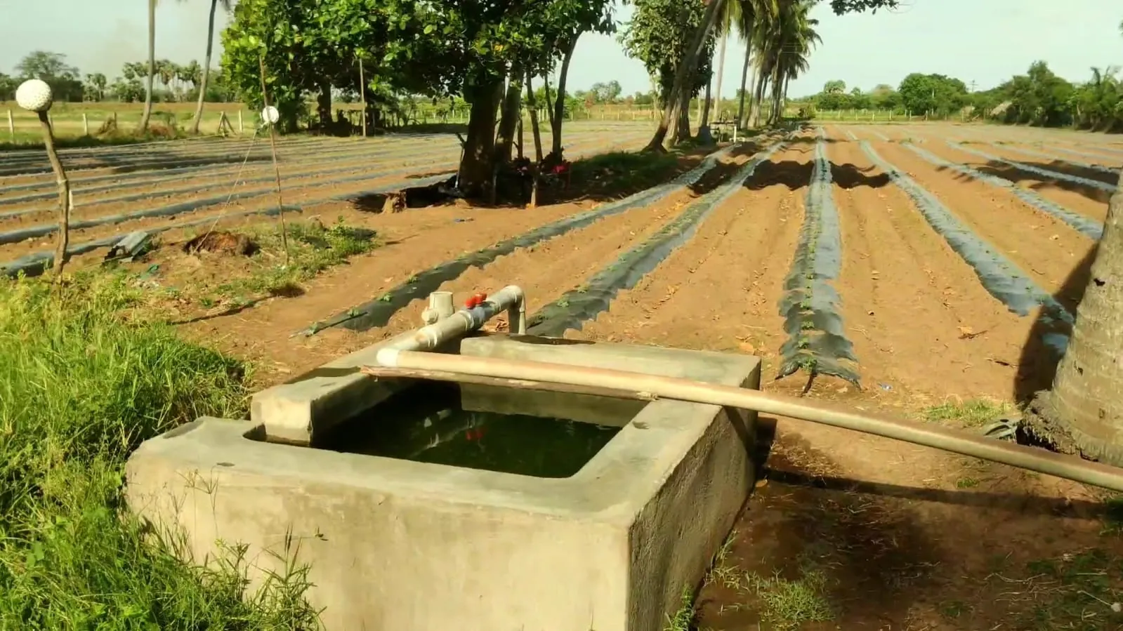2.40 Acre Agricultural Land for Sale in Koovathur, Kuvathur
