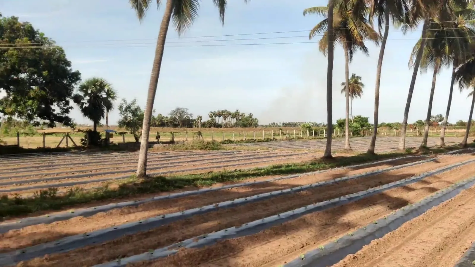 2.40 Acre Agricultural Land for Sale in Koovathur, Kuvathur