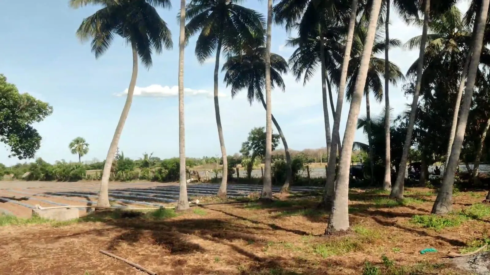 2.40 Acre Agricultural Land for Sale in Koovathur, Kuvathur