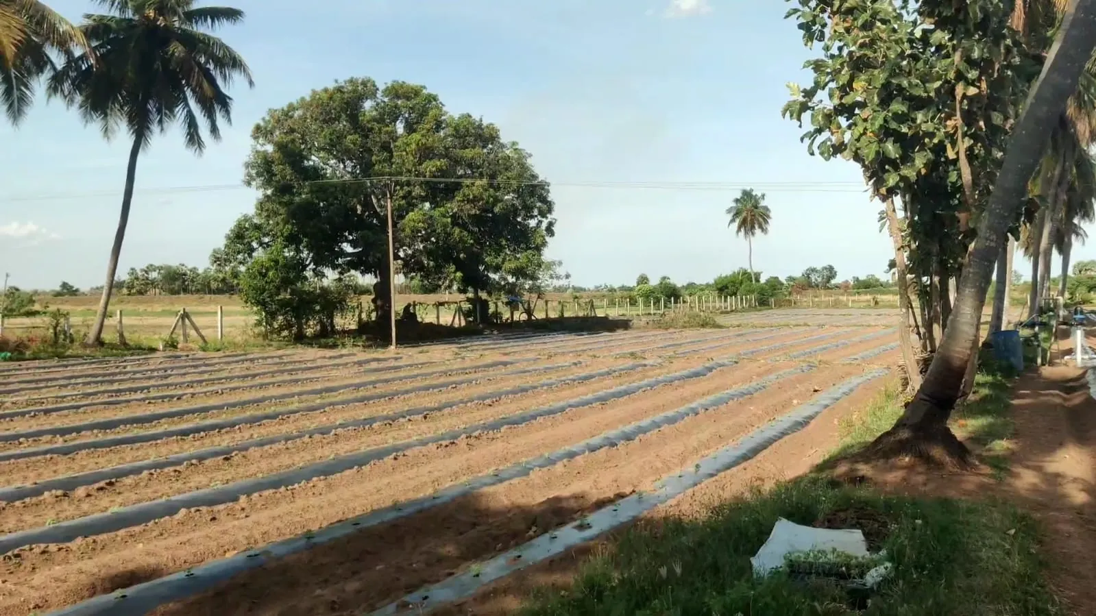 2.40 Acre Agricultural Land for Sale in Koovathur, Kuvathur