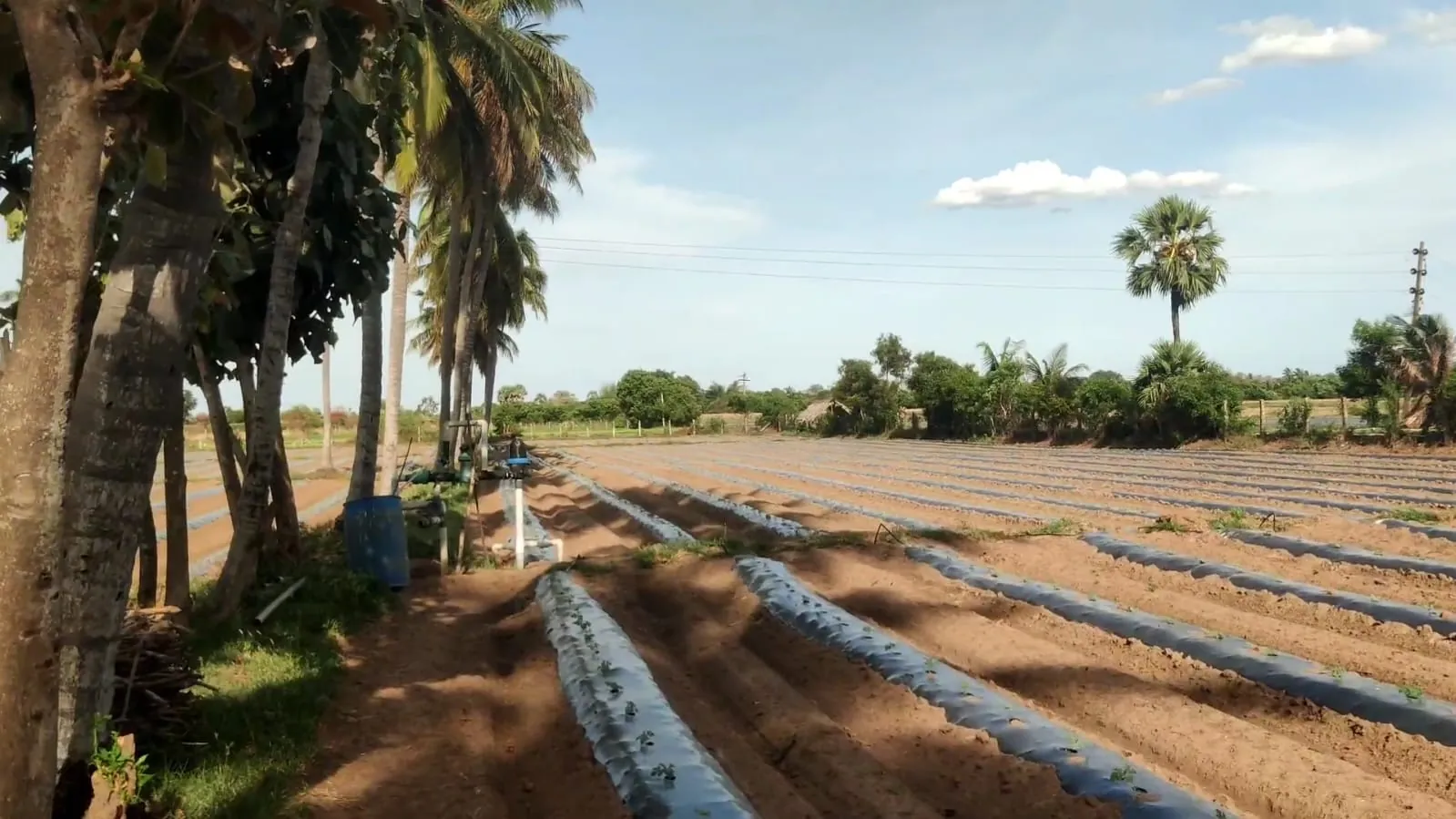 2.40 Acre Agricultural Land for Sale in Koovathur, Kuvathur
