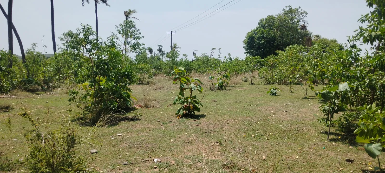 Industrial Land for Rent in Bharati Dock 2, Singaperumal Koil