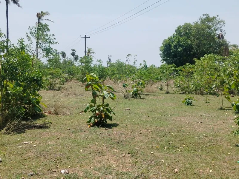 Industrial Land for Rent in Bharati Dock 2, Singaperumal Koil