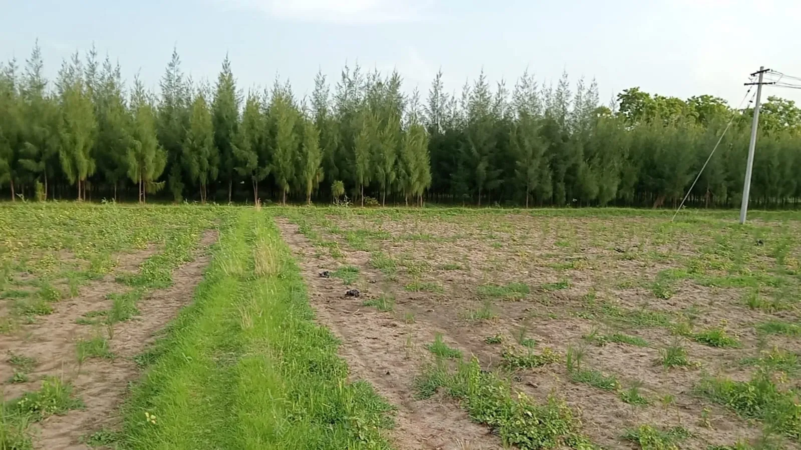 2.70 Acres Land for Sale in Cheyyur, Melmaruvathur