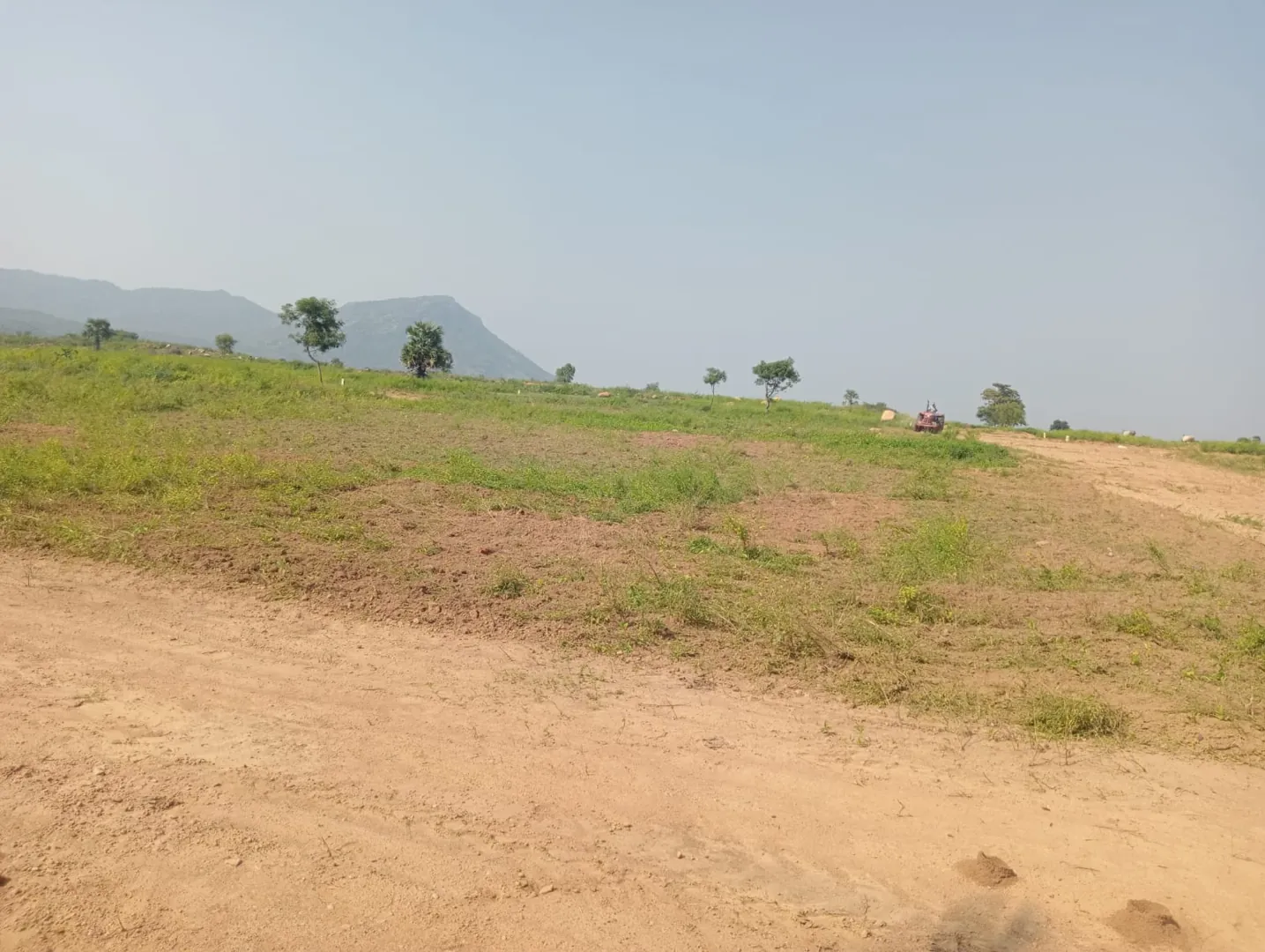 10000 Sqft Plot for Sale in ANNAICUT, Pappanadu