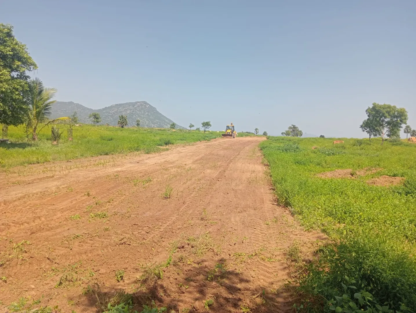 10000 Sqft Plot for Sale in ANNAICUT, Pappanadu