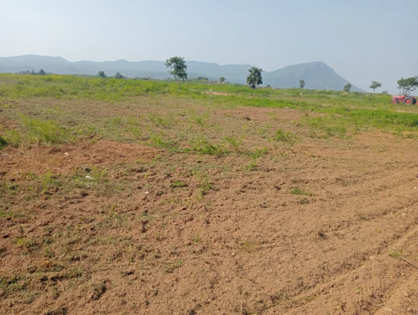 10000 Sqft Plot for Sale in ANNAICUT, Pappanadu