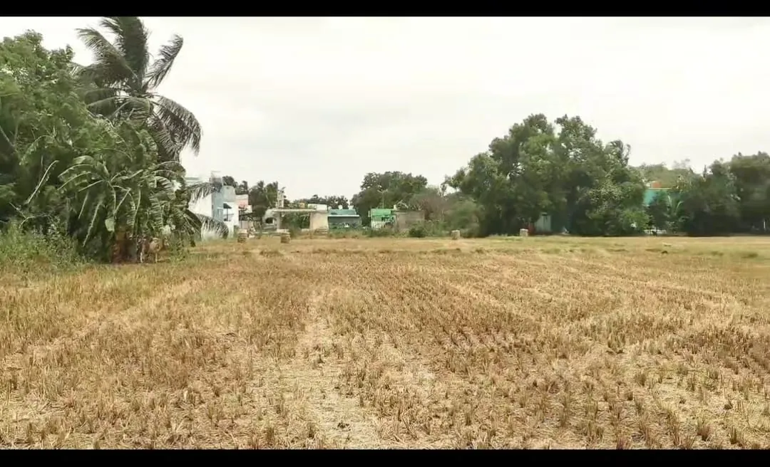 2.5 Acres Farm Land for Sale in Cheyyur, Melmaruvathur