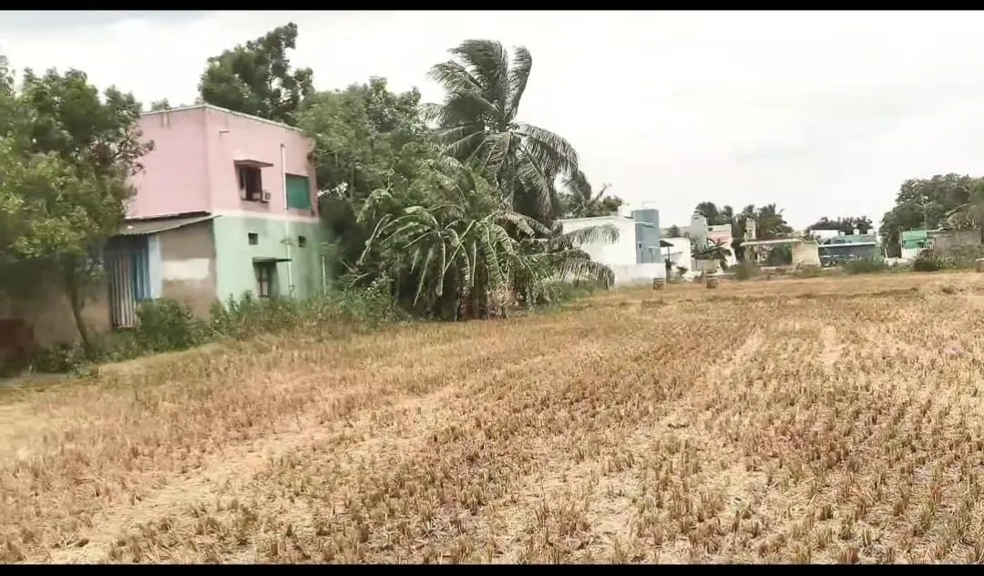 2.5 Acres Farm Land for Sale in Cheyyur, Melmaruvathur