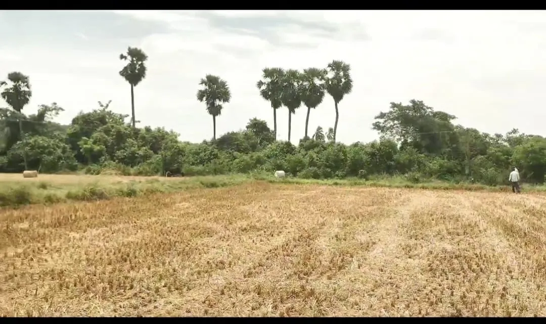 2.5 Acres Farm Land for Sale in Cheyyur, Melmaruvathur