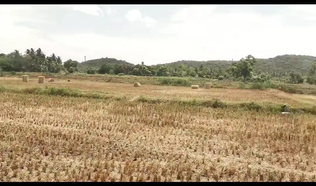 2.5 Acres Farm Land for Sale in Cheyyur, Melmaruvathur