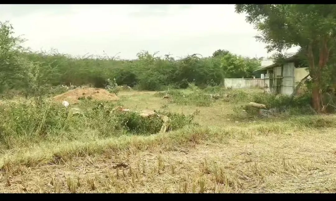 2.5 Acres Farm Land for Sale in Cheyyur, Melmaruvathur