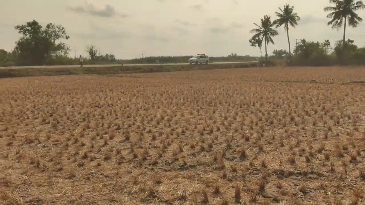 Agricultural Land for Sale in Thozhupet, Melmaruvathur