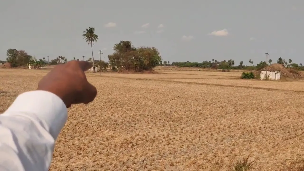 Agricultural Land for Sale in Thozhupet, Melmaruvathur