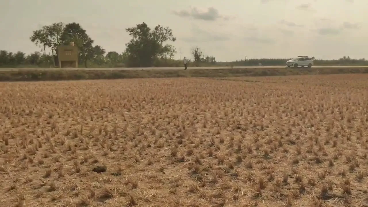Agricultural Land for Sale in Thozhupet, Melmaruvathur