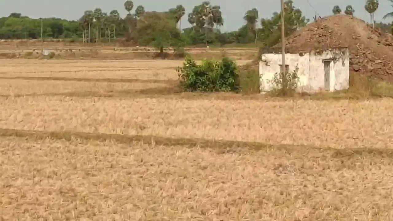 Agricultural Land for Sale in Thozhupet, Melmaruvathur