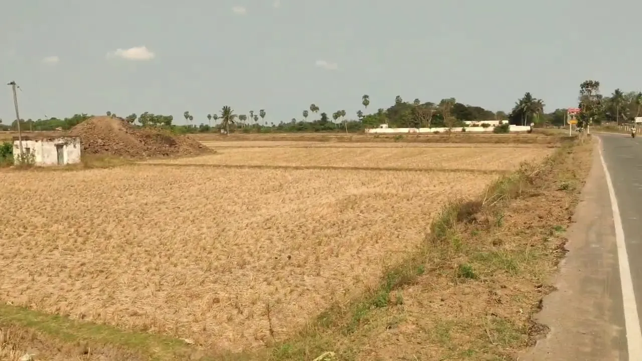 Agricultural Land for Sale in Thozhupet, Melmaruvathur