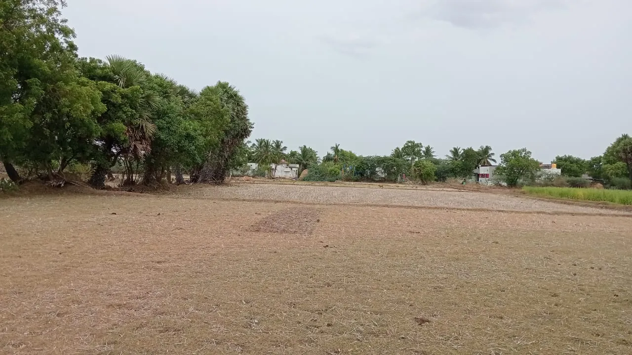 7.80 Acres Farm Land near Padaalam, Senthamangalam for Sale