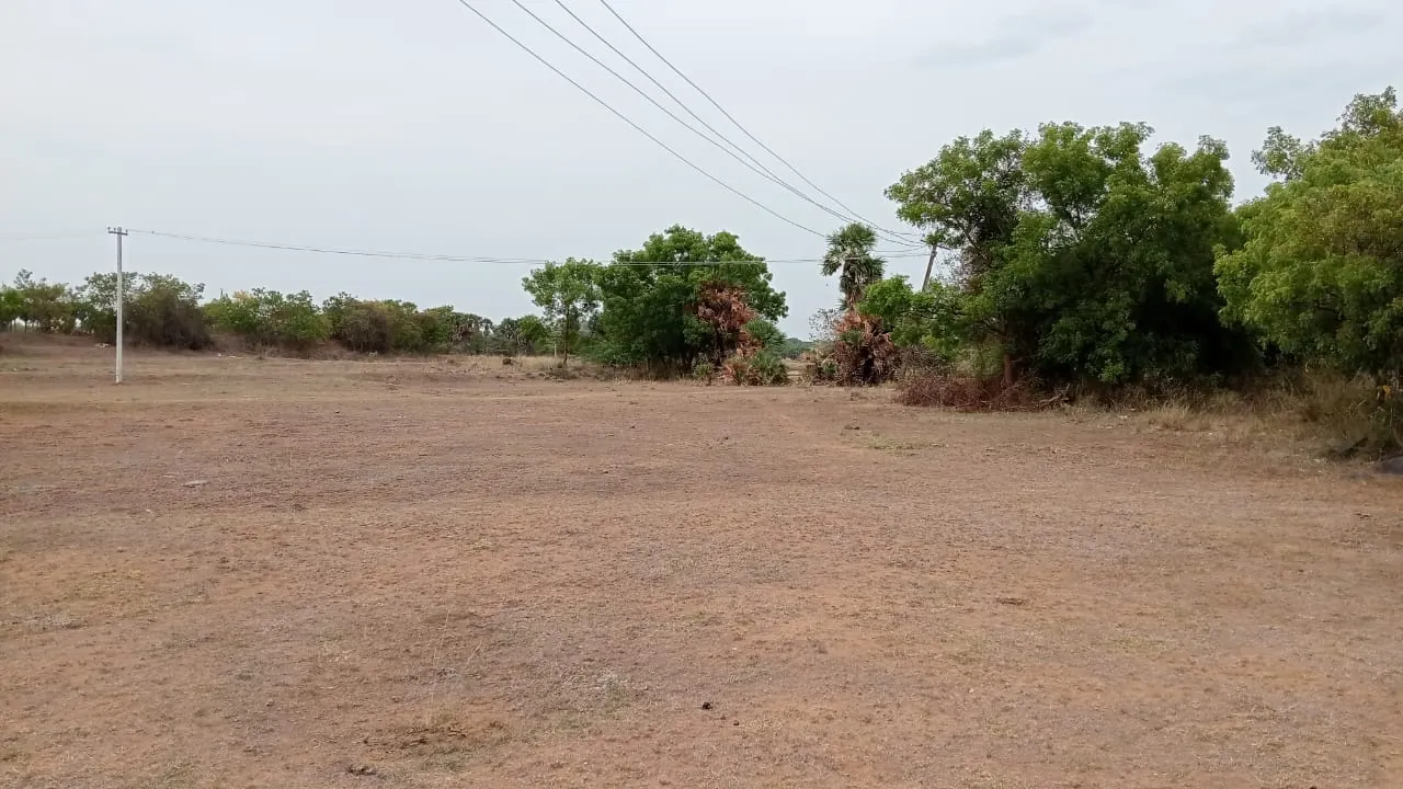 7.80 Acres Farm Land near Padaalam, Senthamangalam for Sale