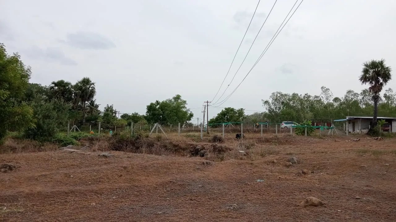 7.80 Acres Farm Land near Padaalam, Senthamangalam for Sale