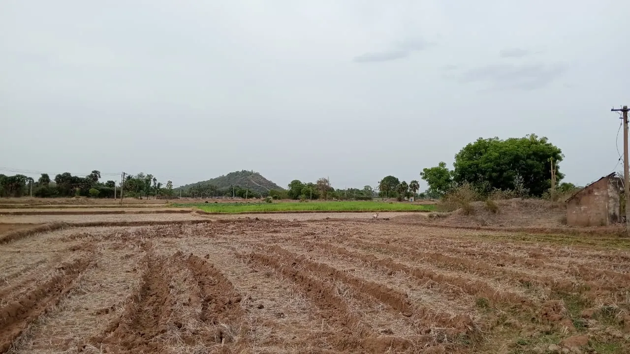 7.80 Acres Farm Land near Padaalam, Senthamangalam for Sale