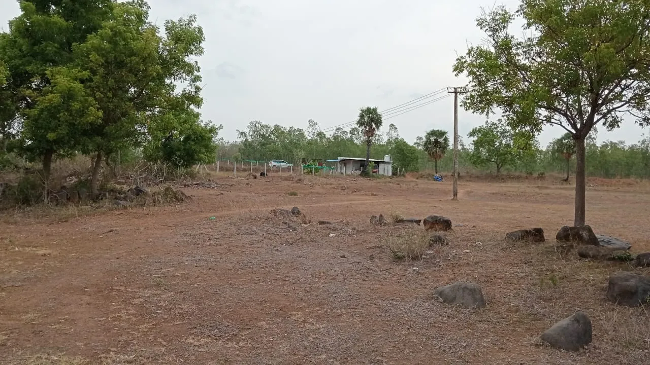 7.80 Acres Farm Land near Padaalam, Senthamangalam for Sale