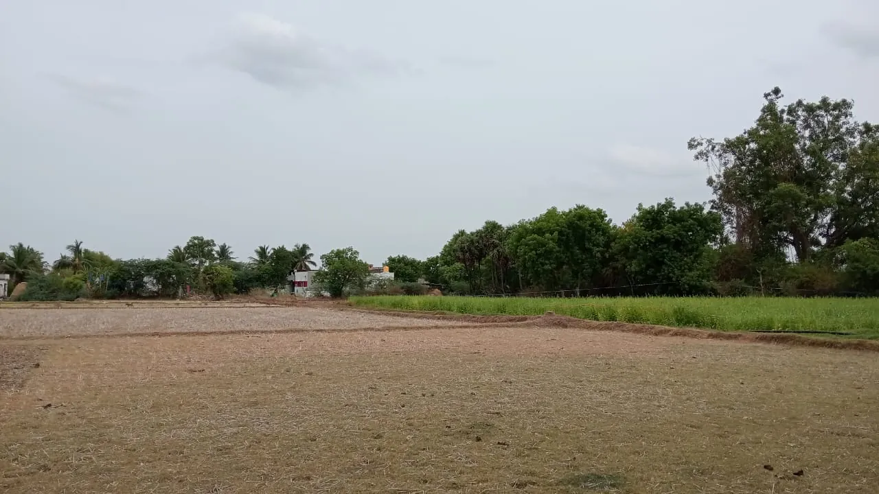 7.80 Acres Farm Land near Padaalam, Senthamangalam for Sale