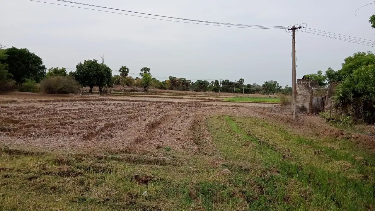 7.80 Acres Farm Land near Padaalam, Senthamangalam for Sale