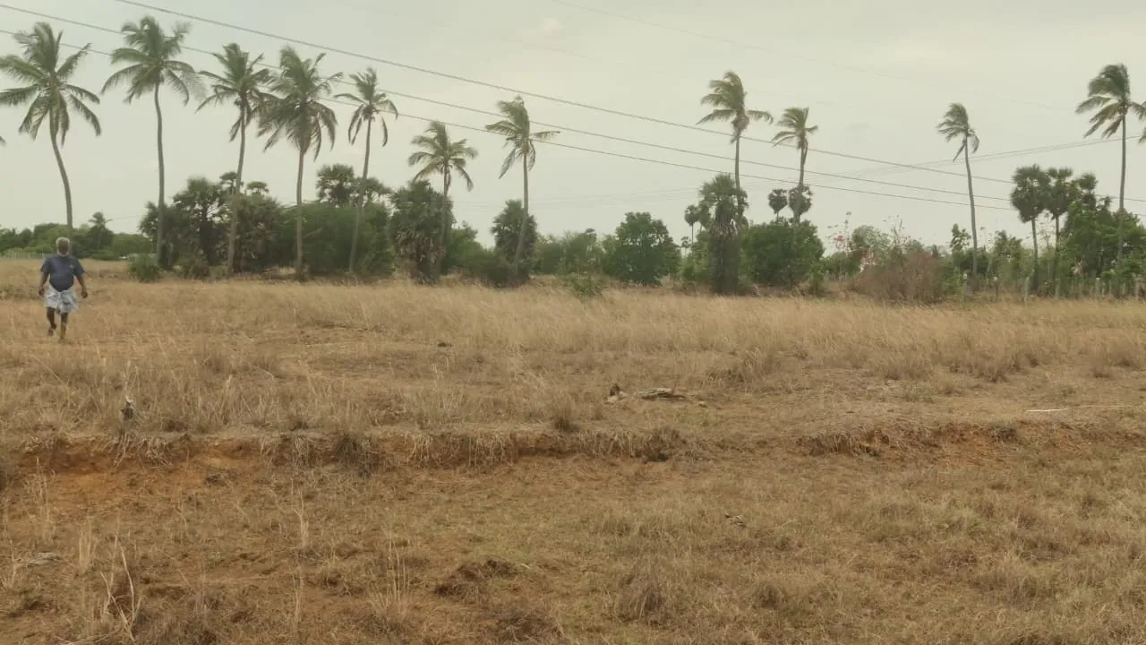 1.16 Acres Agricultural Land for Sale in Vedanthangal, Senthamangalam