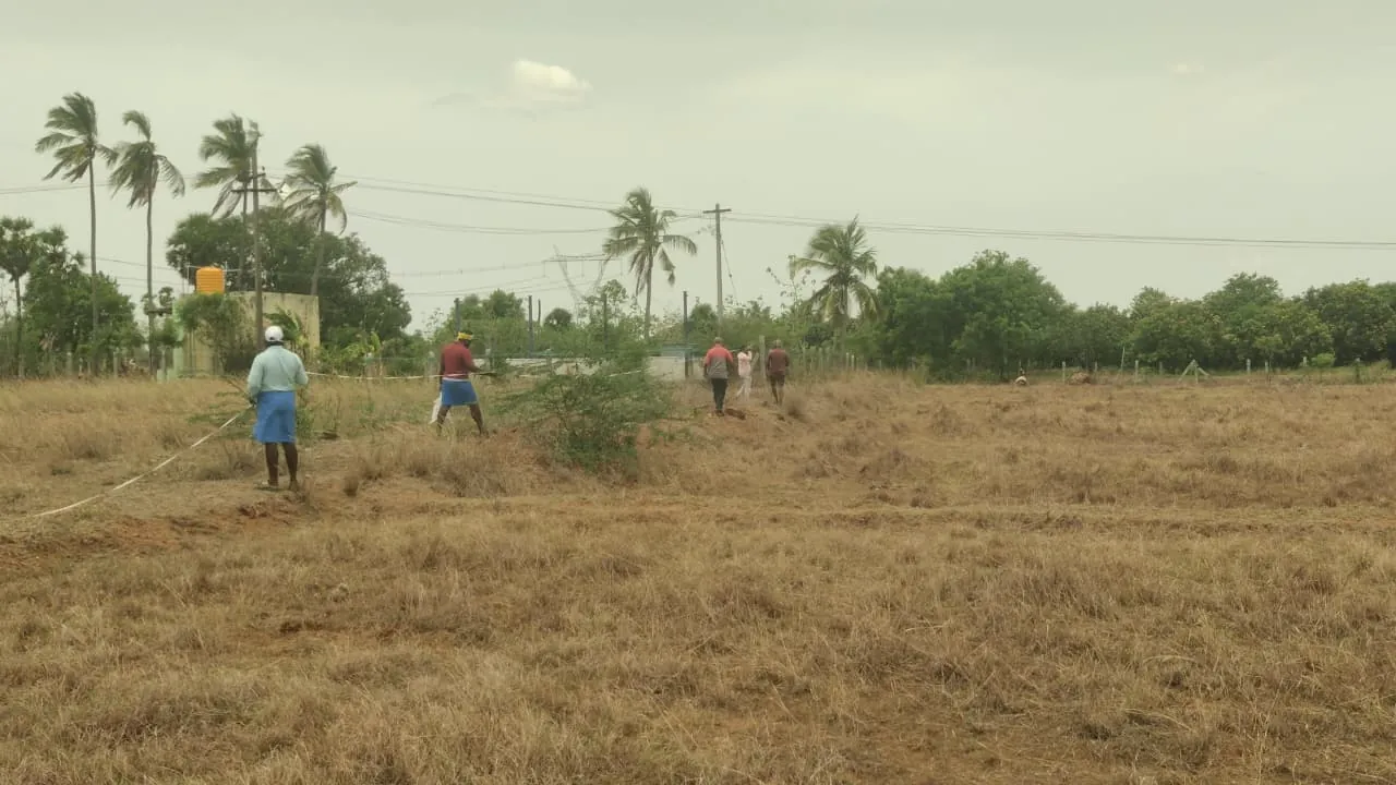 1.16 Acres Agricultural Land for Sale in Vedanthangal, Senthamangalam