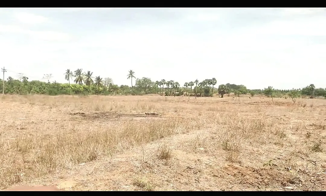 1.16 Acres Agricultural Land for Sale in Vedanthangal, Senthamangalam