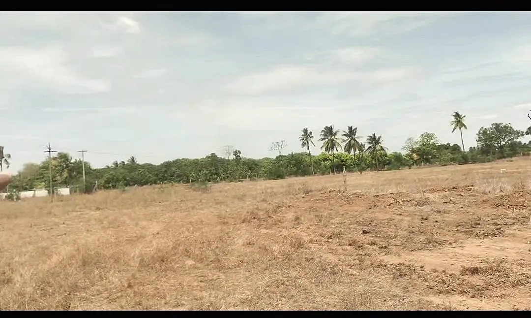 1.16 Acres Agricultural Land for Sale in Vedanthangal, Senthamangalam