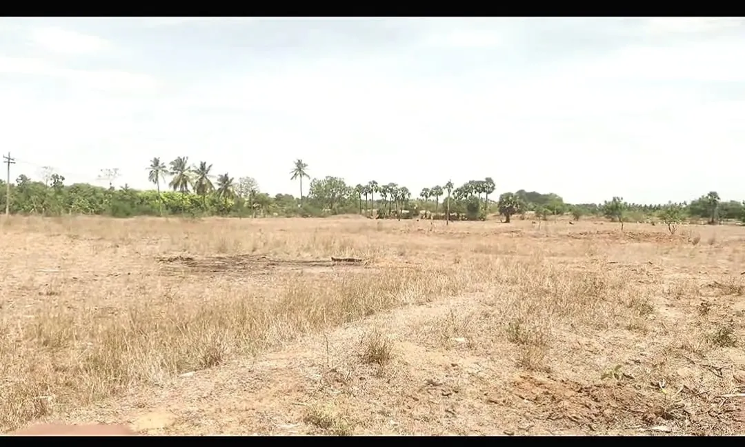 1.16 Acres Agricultural Land for Sale in Vedanthangal, Senthamangalam