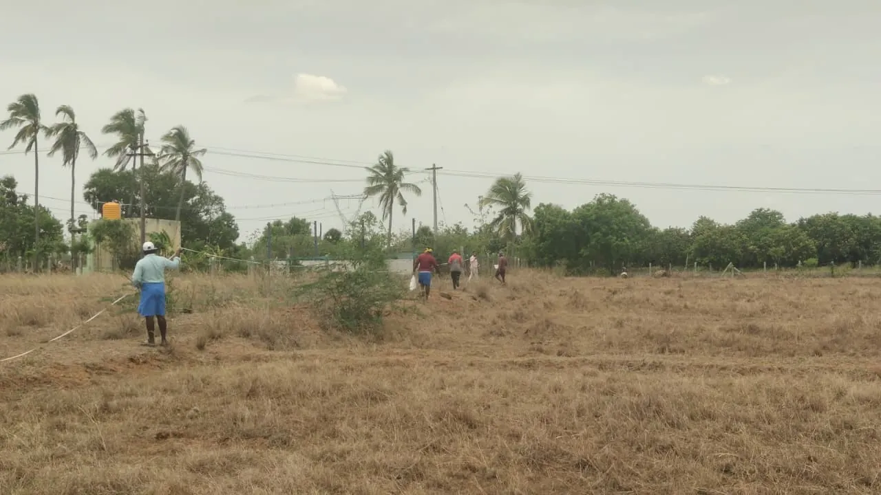 1.16 Acres Agricultural Land for Sale in Vedanthangal, Senthamangalam